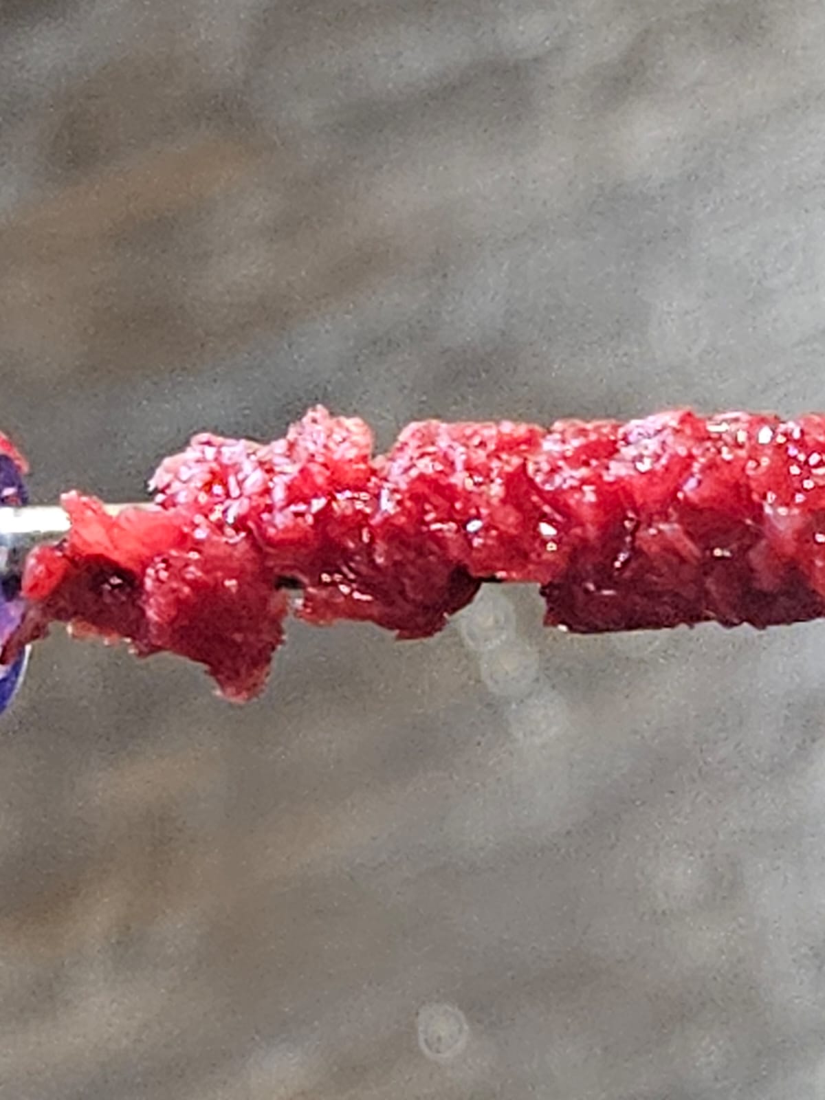 BoneGainer — klinische Anwendung